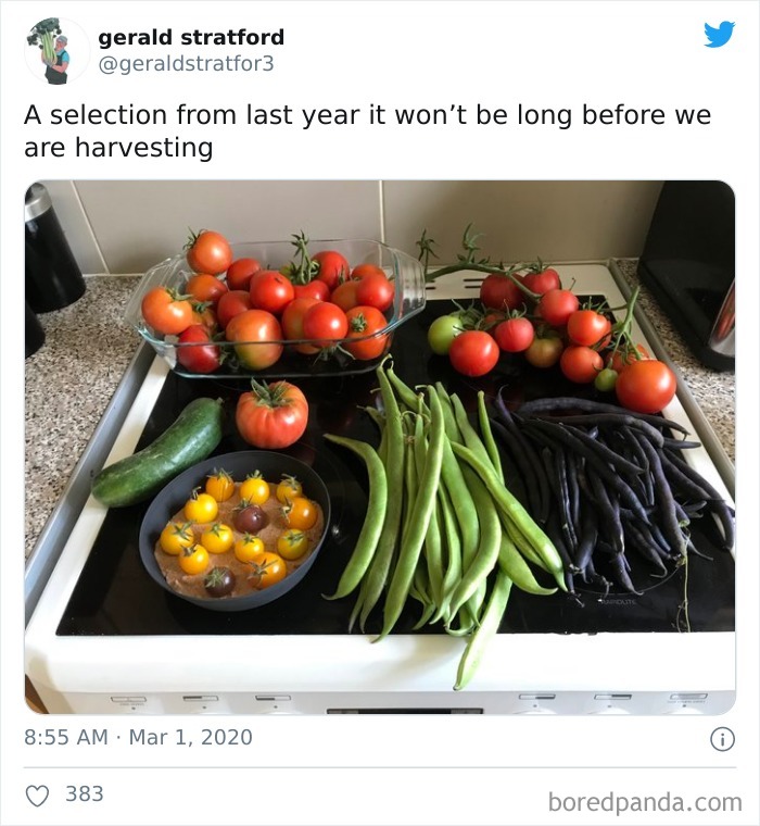 Gardener-Posts-Veggie-Photos-Gerald-Stratford