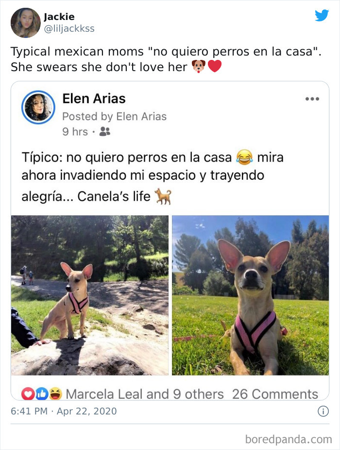 Latina-Moms-Who-Did-Not-Want-A-Dog