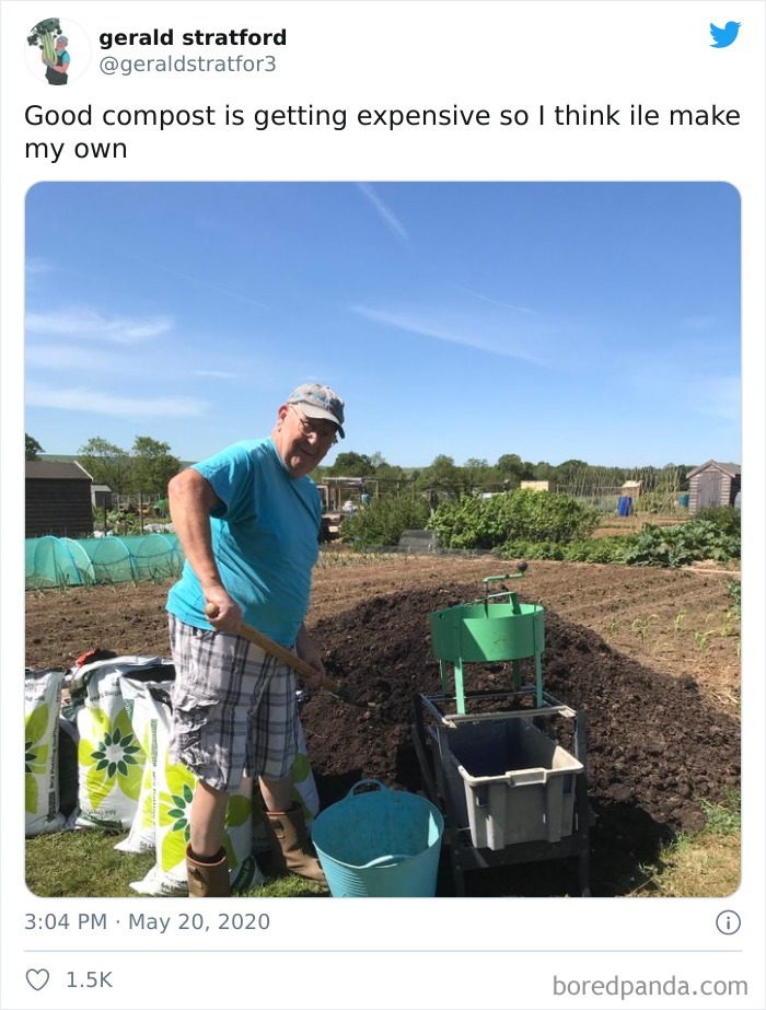 Gardener-Posts-Veggie-Photos-Gerald-Stratford