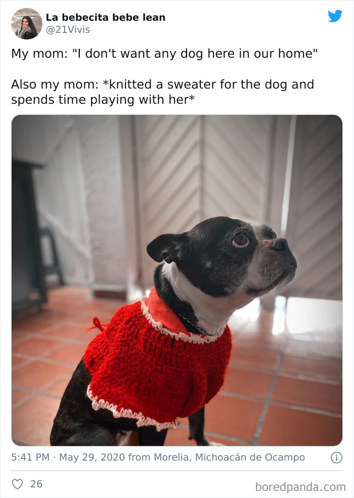 Latina-Moms-Who-Did-Not-Want-A-Dog