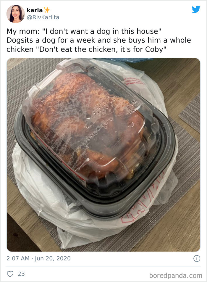 Latina-Moms-Who-Did-Not-Want-A-Dog