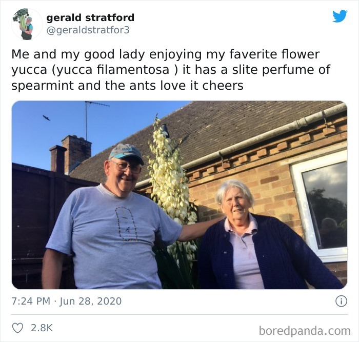 Gardener-Posts-Veggie-Photos-Gerald-Stratford