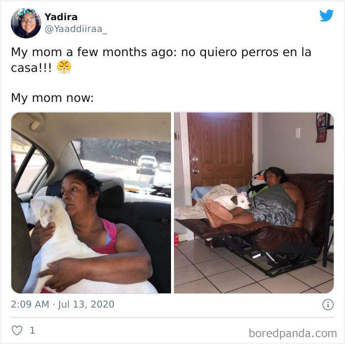 Latina-Moms-Who-Did-Not-Want-A-Dog