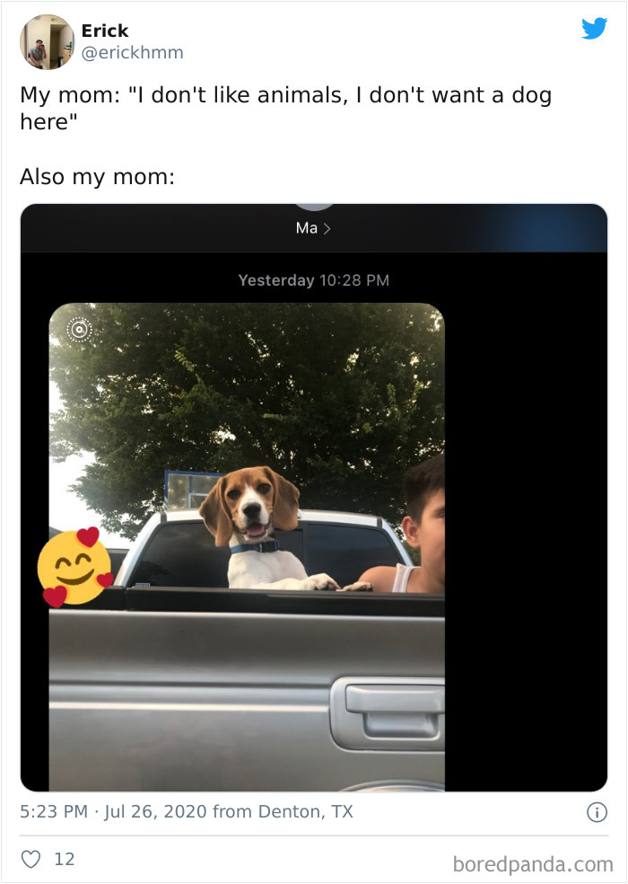 Latina-Moms-Who-Did-Not-Want-A-Dog