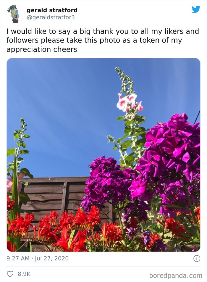 Gardener-Posts-Veggie-Photos-Gerald-Stratford