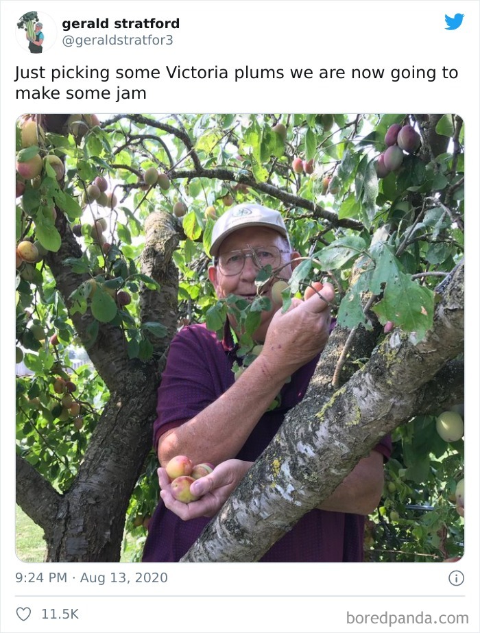 Gardener-Posts-Veggie-Photos-Gerald-Stratford