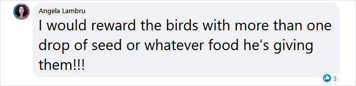 Guy Built A Bird Feeder That Accepts Bottle Caps For Food, And These Wild Magpies Love It