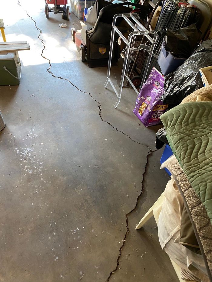 Bizarre-Structural-Inspections