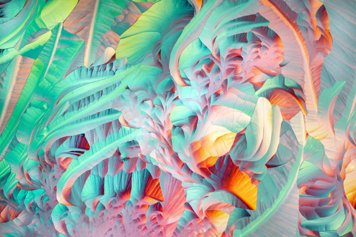 Crystals formed after heating an ethanol and water solution