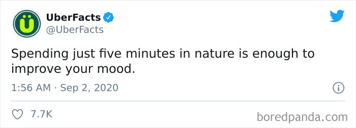 Interesting-Uber-Facts