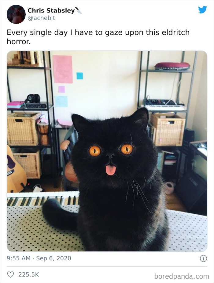 Every Single Day I Have To Gaze Upon This Eldritch Horror.