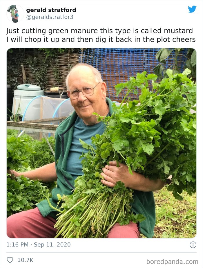 Gardener-Posts-Veggie-Photos-Gerald-Stratford