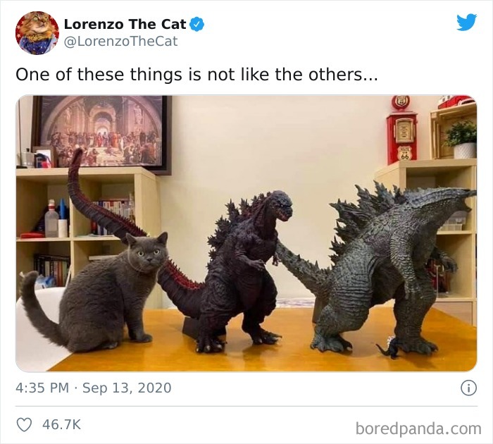 One Of These Things Is Not Like The Others...