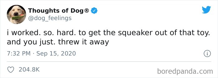 Hilarious-Dog-Thoughts-Tweets