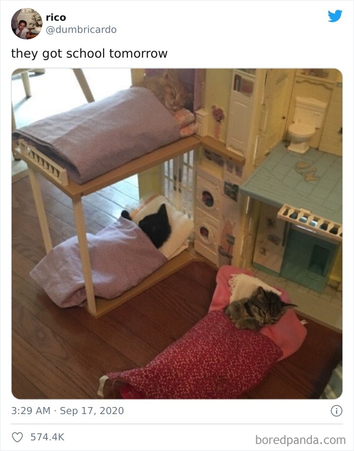 They Got School Tomorrow