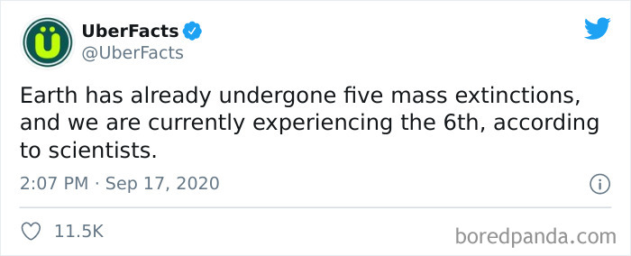 Interesting-Uber-Facts