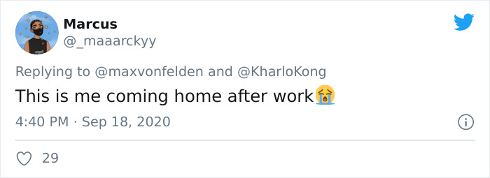 Viral TikTok Captures A Dog Calmly Carrying His Bowl Full Of Kibble To Eat It On The Couch, And People Relate To Him On A Spiritual Level Viral TikTok Captures A Dog Calmly Carrying His Bowl Full Of Kibble To Eat It On The Couch, And People Relate To Him On A Spiritual Level