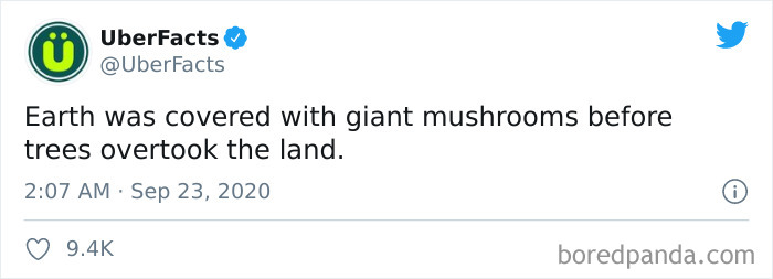 Interesting-Uber-Facts