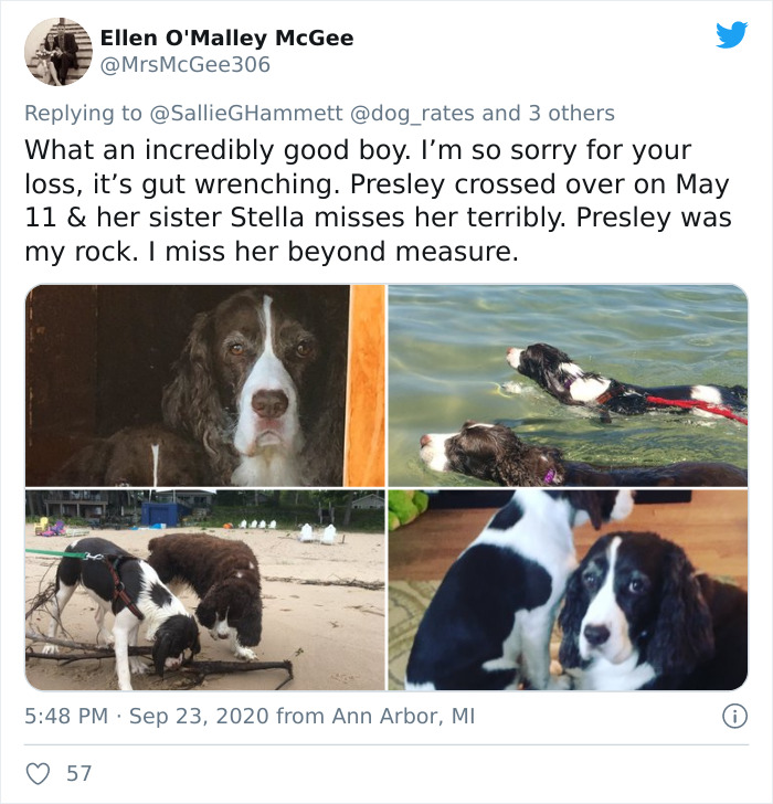 'He Was Best At Unconditional Love': Over 115k People Are In Tears Over This Woman's Touching Obituary For Her Beloved Dog 'He Was Best At Unconditional Love': Over 115k People Are In Tears Over This Woman's Touching Obituary For Her Beloved Dog