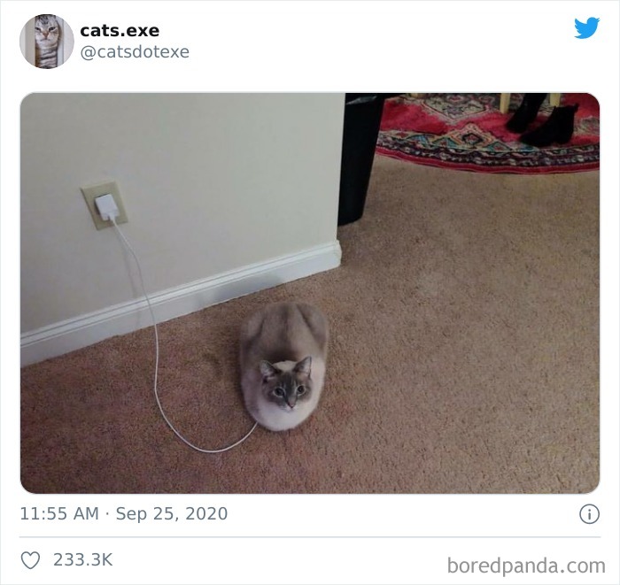 I Need To Get My Energy Back