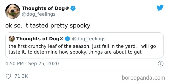Hilarious-Dog-Thoughts-Tweets