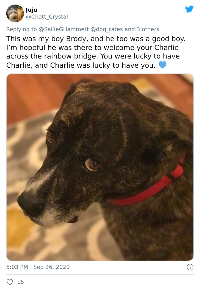 'He Was Best At Unconditional Love': Over 115k People Are In Tears Over This Woman's Touching Obituary For Her Beloved Dog 'He Was Best At Unconditional Love': Over 115k People Are In Tears Over This Woman's Touching Obituary For Her Beloved Dog