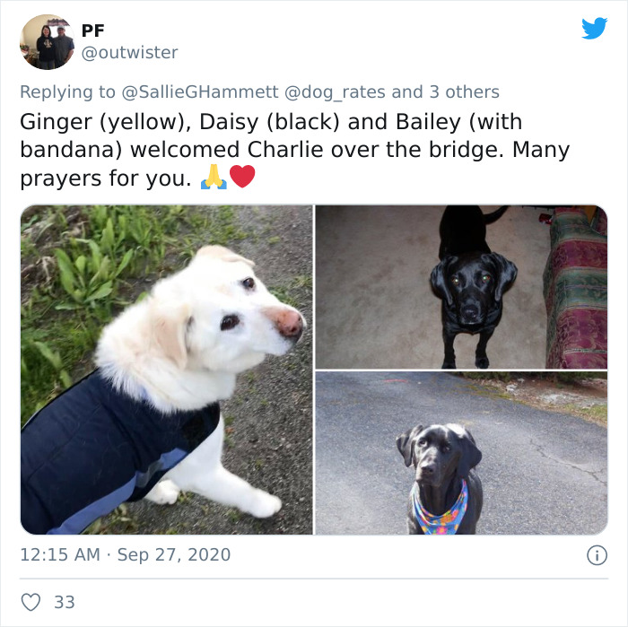 'He Was Best At Unconditional Love': Over 115k People Are In Tears Over This Woman's Touching Obituary For Her Beloved Dog 'He Was Best At Unconditional Love': Over 115k People Are In Tears Over This Woman's Touching Obituary For Her Beloved Dog