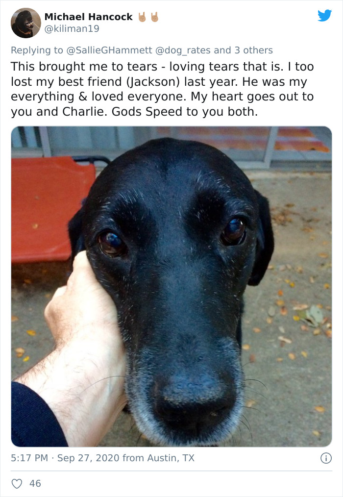 'He Was Best At Unconditional Love': Over 115k People Are In Tears Over This Woman's Touching Obituary For Her Beloved Dog 'He Was Best At Unconditional Love': Over 115k People Are In Tears Over This Woman's Touching Obituary For Her Beloved Dog