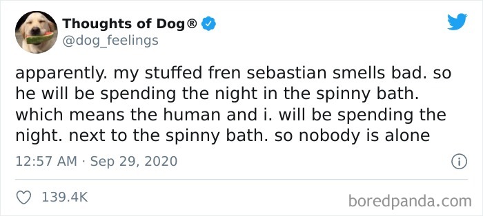 Hilarious-Dog-Thoughts-Tweets