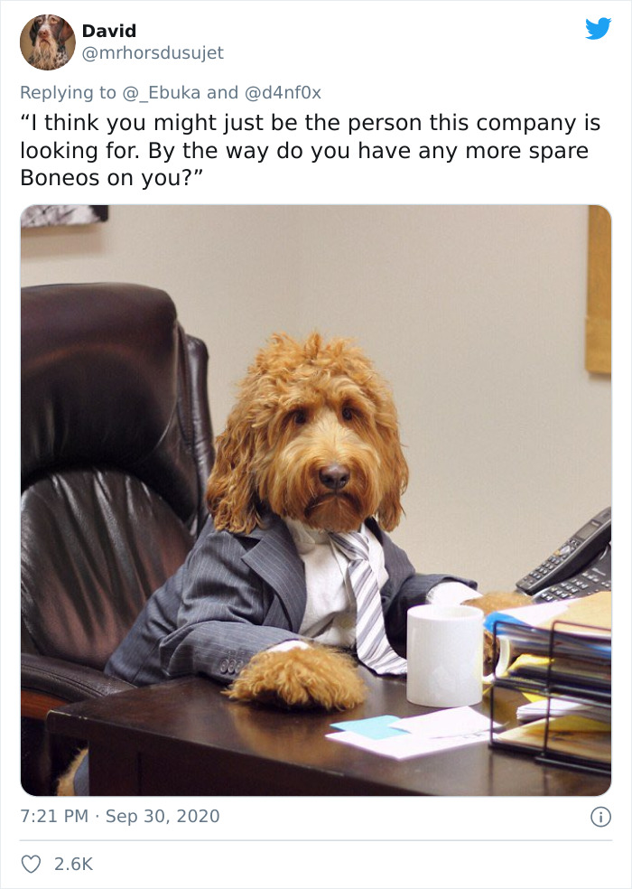 Man Makes A Mocking Post Poking Fun At LinkedIn Influencers And People Are Cracking Up