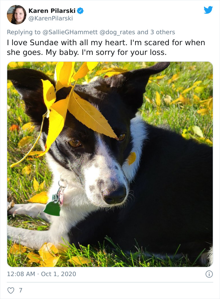 'He Was Best At Unconditional Love': Over 115k People Are In Tears Over This Woman's Touching Obituary For Her Beloved Dog 'He Was Best At Unconditional Love': Over 115k People Are In Tears Over This Woman's Touching Obituary For Her Beloved Dog