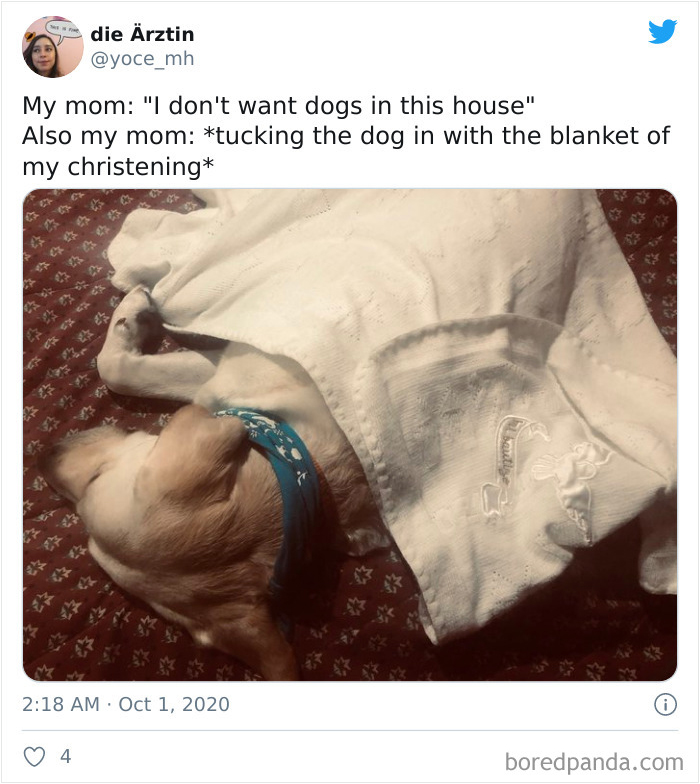 Latina-Moms-Who-Did-Not-Want-A-Dog