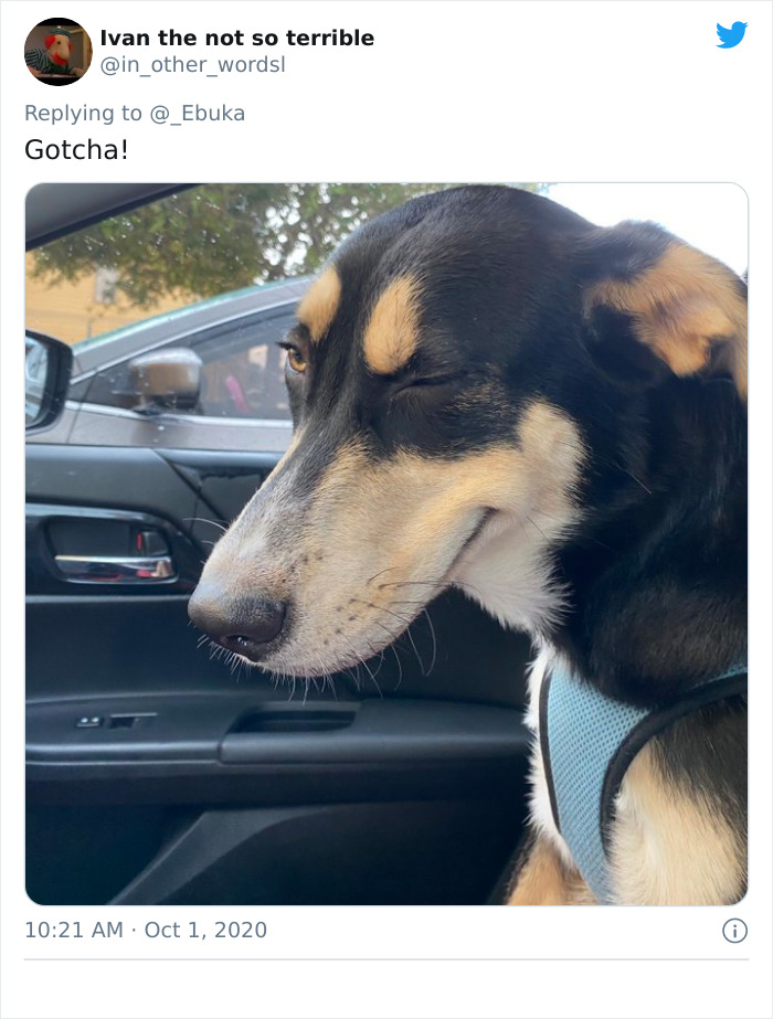 Man Makes A Mocking Post Poking Fun At LinkedIn Influencers And People Are Cracking Up Man Makes A Mocking Post Poking Fun At LinkedIn Influencers And People Are Cracking Up