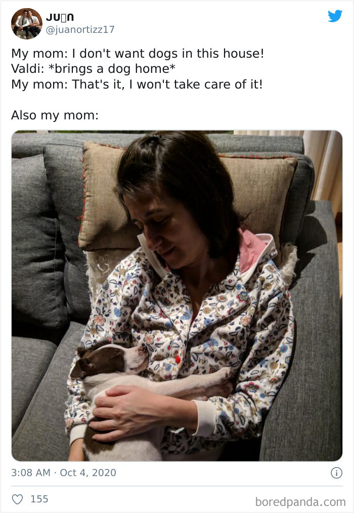 Latina-Moms-Who-Did-Not-Want-A-Dog