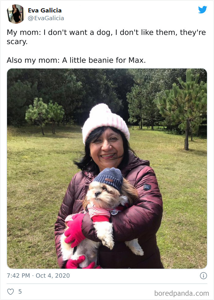 Latina-Moms-Who-Did-Not-Want-A-Dog