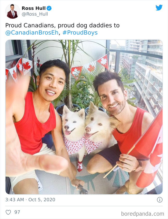 Lgbtq-People-Hijack-Proud-Boys-Hashtag