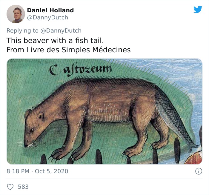 Medieval painters' humorous attempt to depict a beaver with a fish tail in an ancient illustrated manuscript.