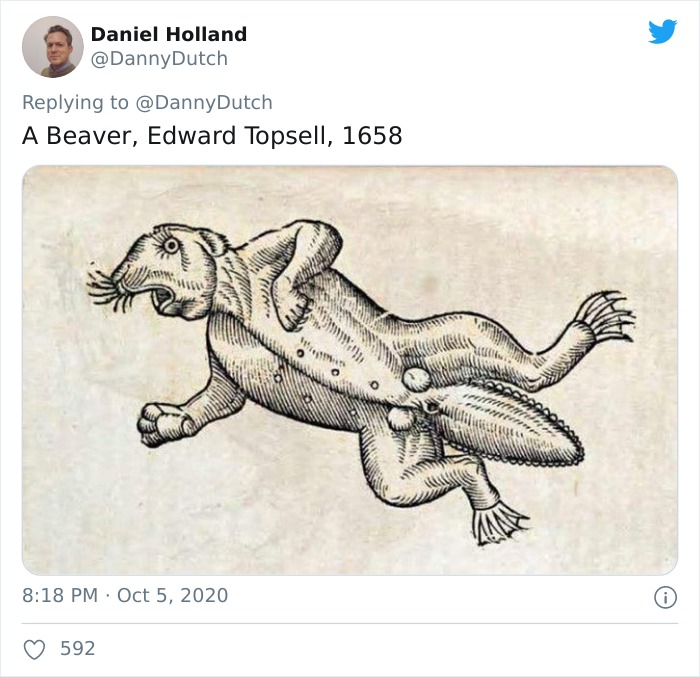 Medieval painter Edward Topsell's 1658 inaccurate beaver drawing showing amusing animal depiction without real reference.