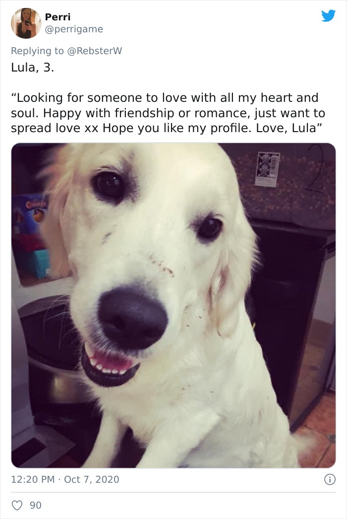 Dog-Profile-Pic-Photo-Dating-Website-Twitter