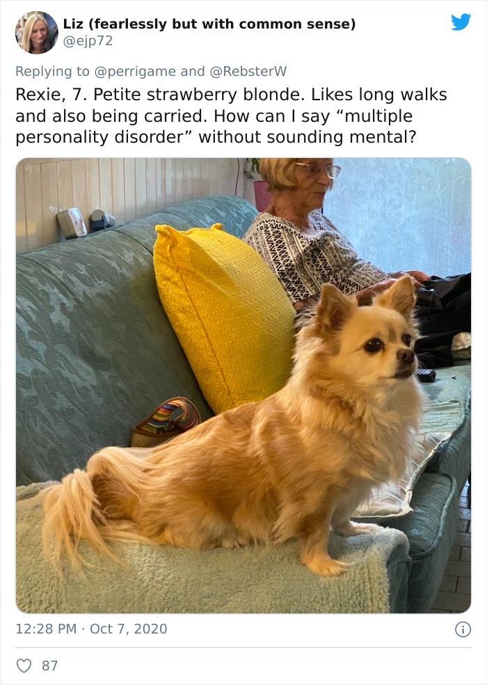 Dog-Profile-Pic-Photo-Dating-Website-Twitter