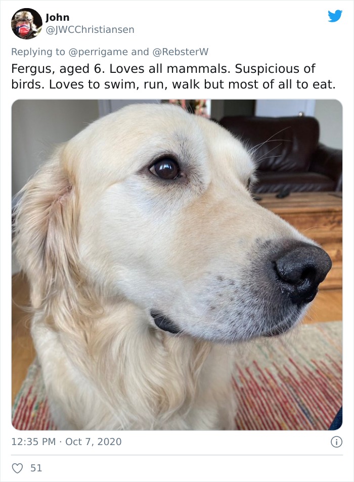 Dog-Profile-Pic-Photo-Dating-Website-Twitter