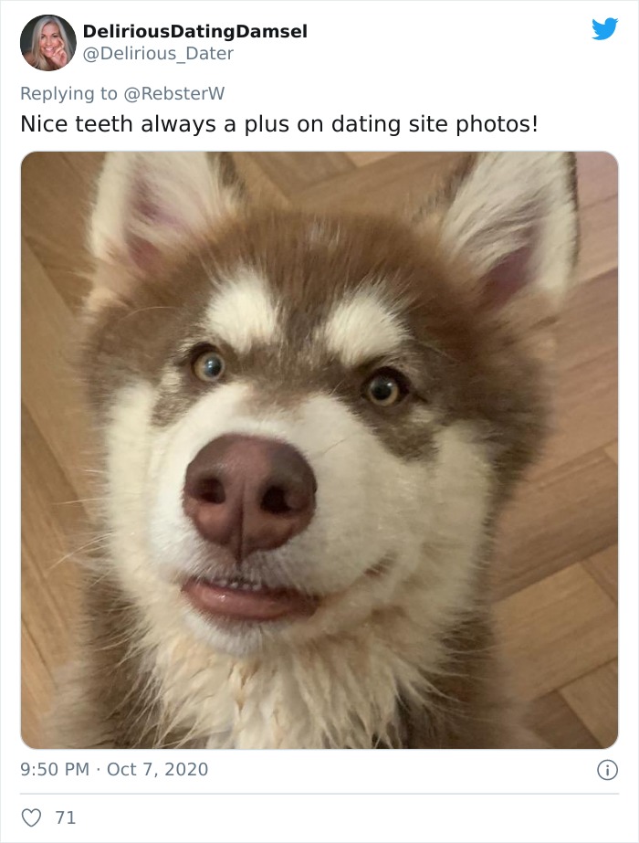 Dog-Profile-Pic-Photo-Dating-Website-Twitter