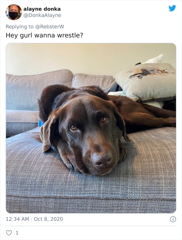Dog-Profile-Pic-Photo-Dating-Website-Twitter