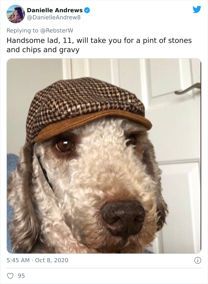 Dog-Profile-Pic-Photo-Dating-Website-Twitter