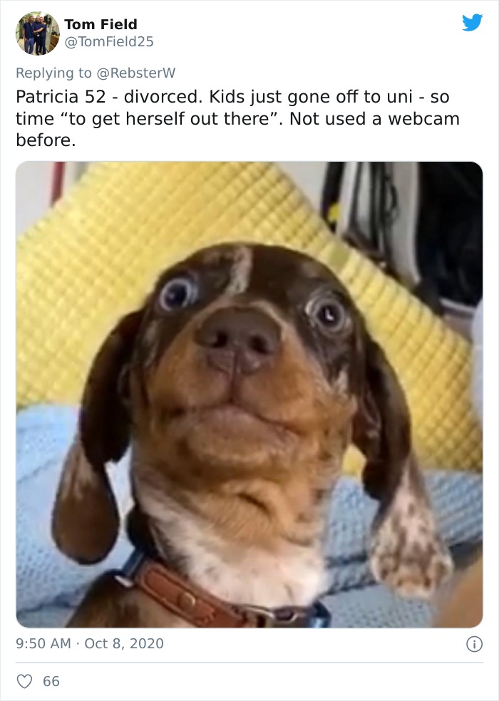 Dog-Profile-Pic-Photo-Dating-Website-Twitter