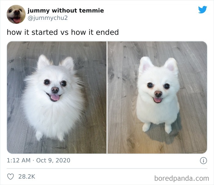 How-It-Started-vs.-How-It-Ended