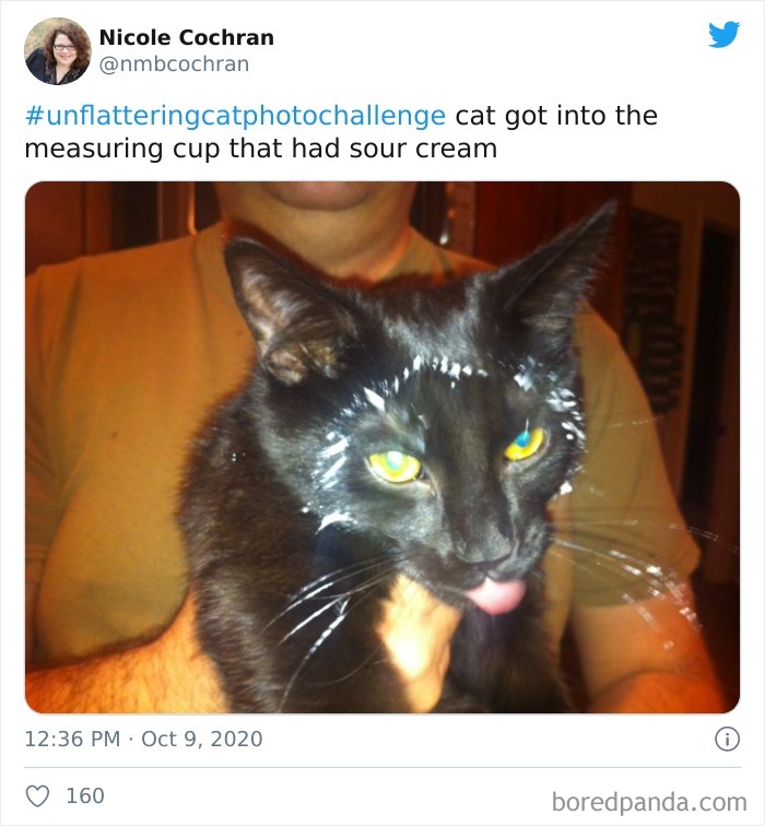 Unflattering-Cat-Photo-Challenge