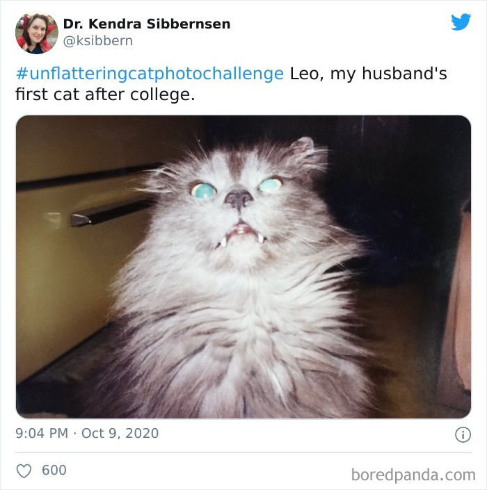 Unflattering-Cat-Photo-Challenge