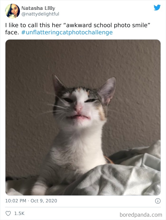 Unflattering-Cat-Photo-Challenge
