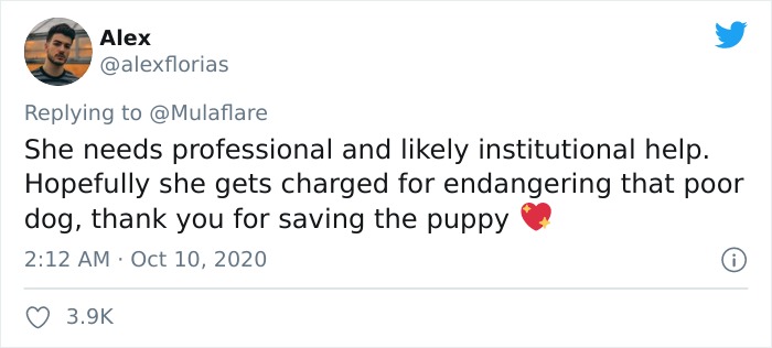 Woman Throws A Puppy At A Man, He Refuses To Give It Back And Shares How Happy The Doggy Is Now Woman Throws A Puppy At A Man, He Refuses To Give It Back And Shares How Happy The Doggy Is Now